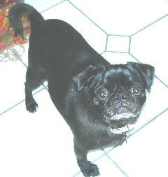 April2006008jpg.jpg